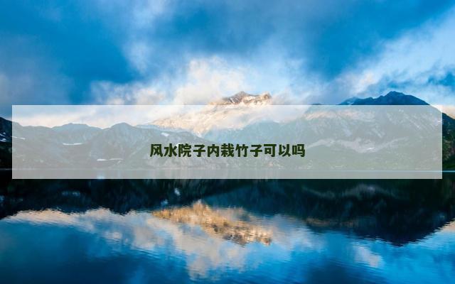 风水院子内栽竹子可以吗