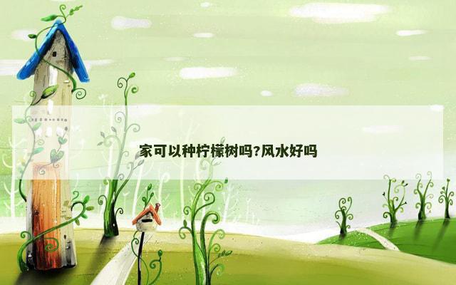 家可以种柠檬树吗?风水好吗