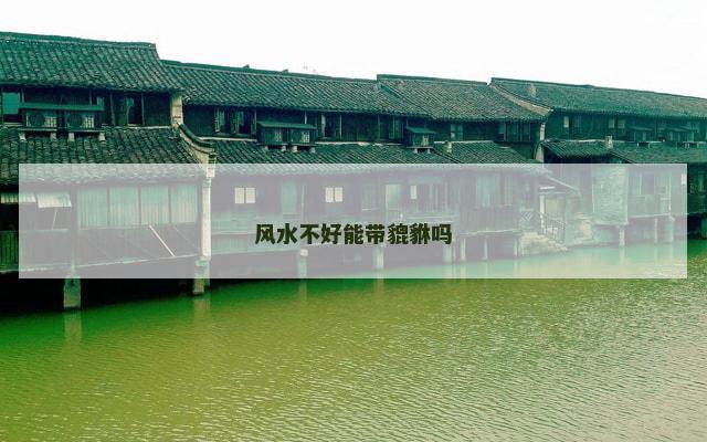 风水不好能带貔貅吗