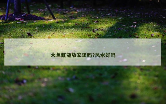 大鱼缸能放家里吗?风水好吗