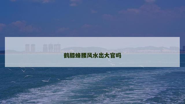 鹤膝蜂腰风水出大官吗
