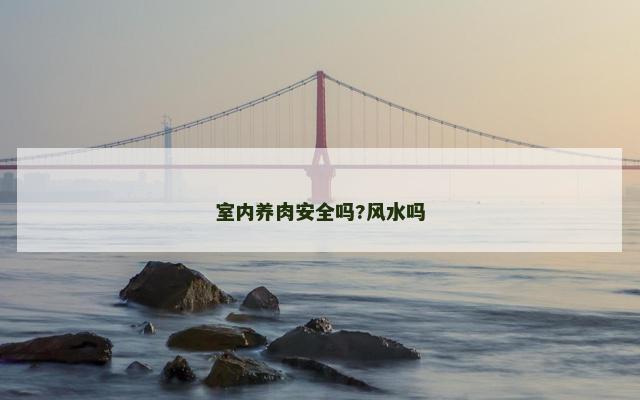 室内养肉安全吗?风水吗