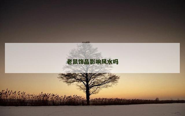 老鼠饰品影响风水吗