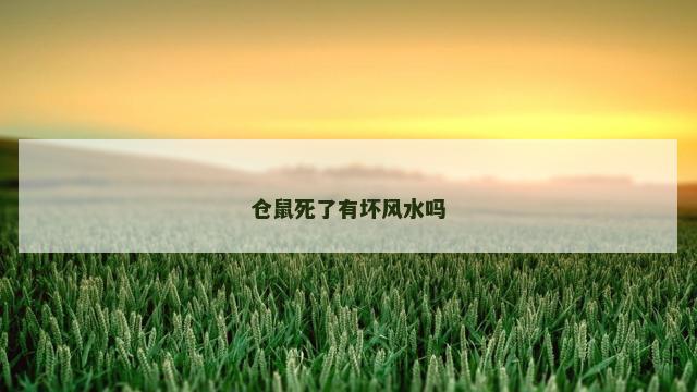 仓鼠死了有坏风水吗