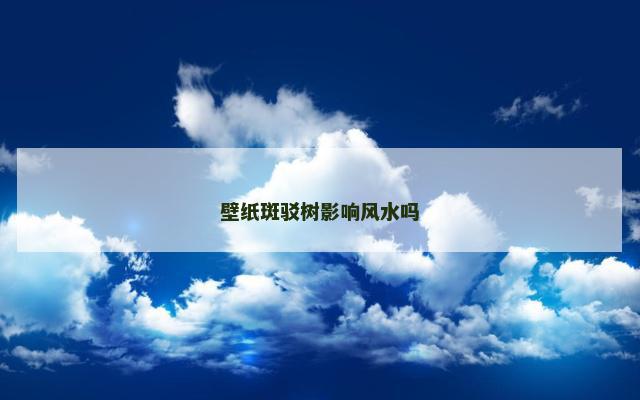 壁纸斑驳树影响风水吗