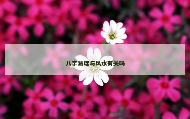 八字易理与风水有关吗