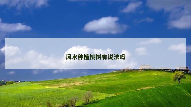 风水种植桃树有说法吗