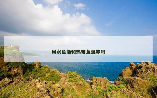 风水鱼能和热带鱼混养吗