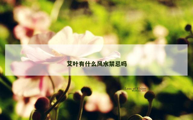 艾叶有什么风水禁忌吗
