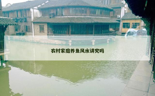 农村家庭养鱼风水讲究吗