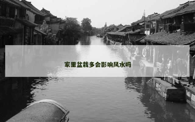 家里盆栽多会影响风水吗