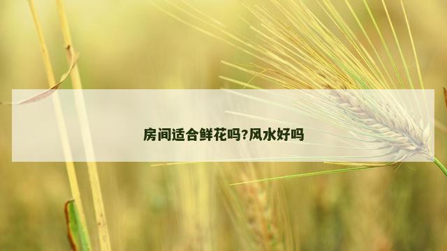 房间适合鲜花吗?风水好吗
