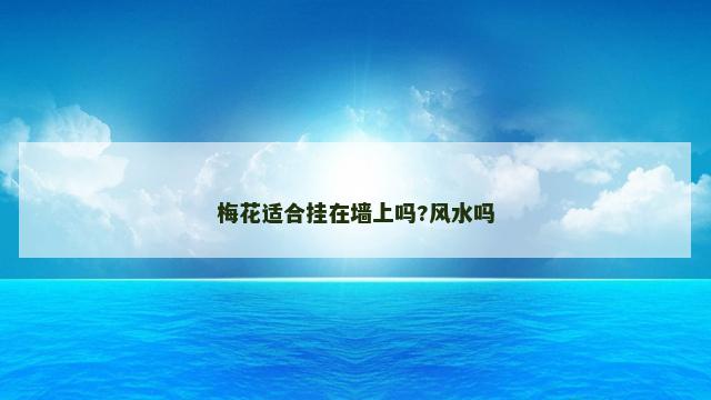 梅花适合挂在墙上吗?风水吗