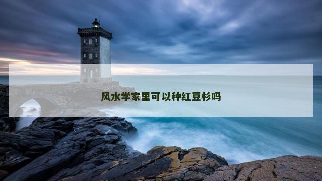 风水学家里可以种红豆杉吗