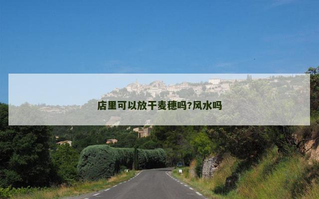 店里可以放干麦穗吗?风水吗