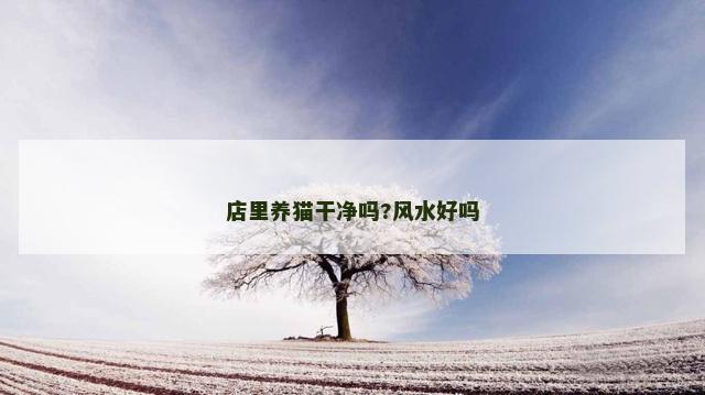 店里养猫干净吗?风水好吗