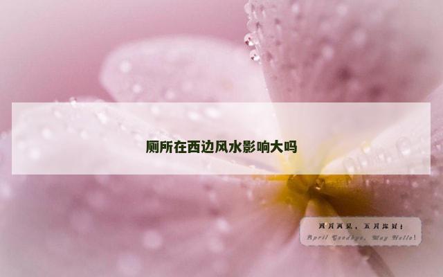 厕所在西边风水影响大吗