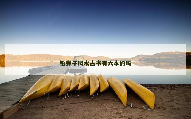 铅弹子风水古书有六本的吗