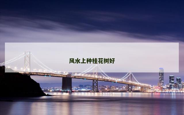风水上种桂花树好