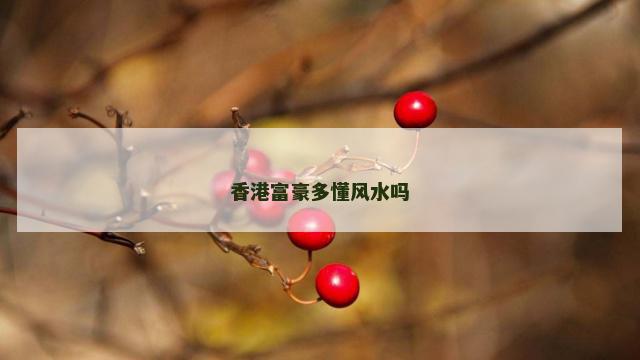香港富豪多懂风水吗