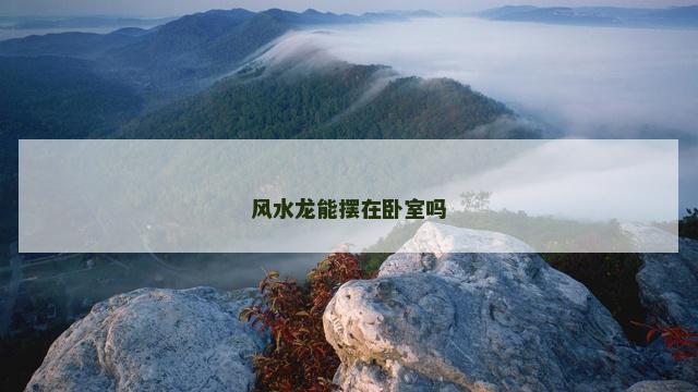 风水龙能摆在卧室吗