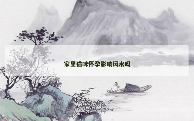 家里猫咪怀孕影响风水吗