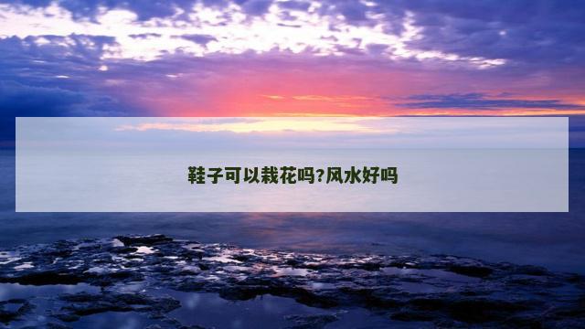 鞋子可以栽花吗?风水好吗