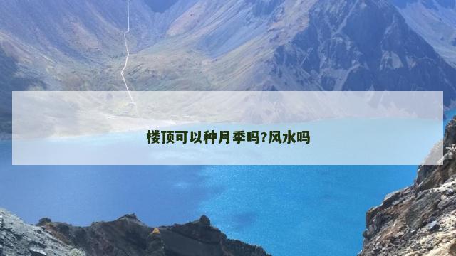 楼顶可以种月季吗?风水吗