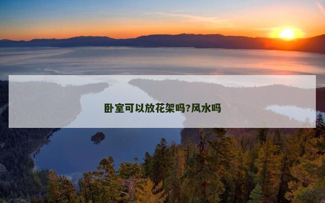 卧室可以放花架吗?风水吗