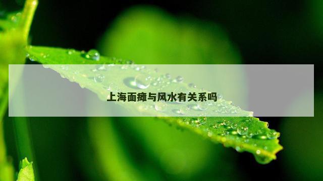 上海面瘫与风水有关系吗