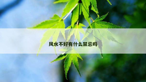 风水不好有什么禁忌吗