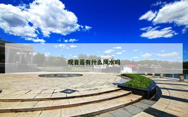 观音莲有什么风水吗