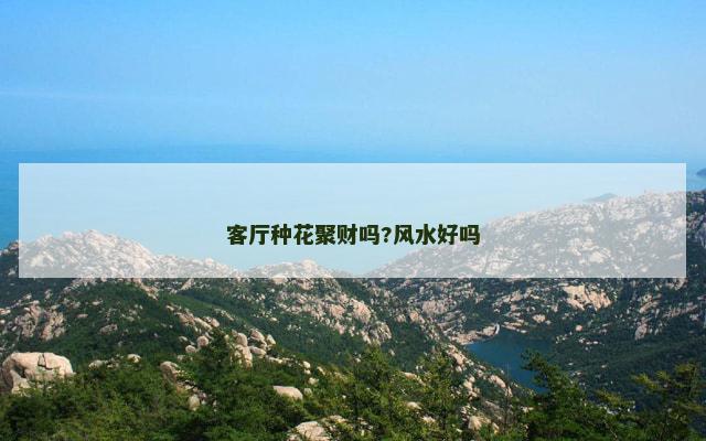 客厅种花聚财吗?风水好吗