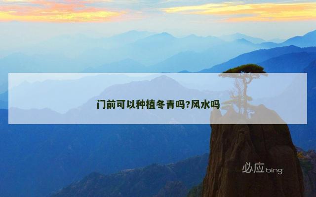 门前可以种植冬青吗?风水吗