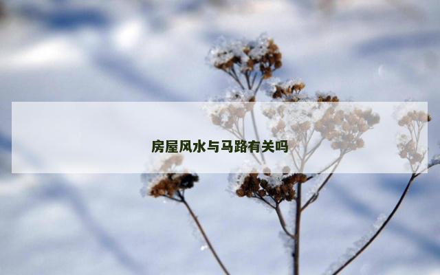 房屋风水与马路有关吗