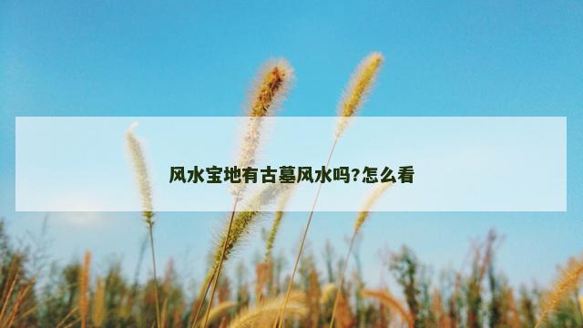 风水宝地有古墓风水吗?怎么看