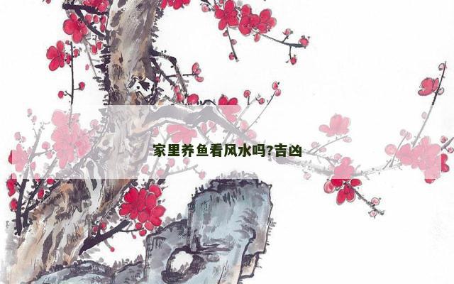 家里养鱼看风水吗?吉凶