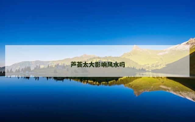 芦荟太大影响风水吗