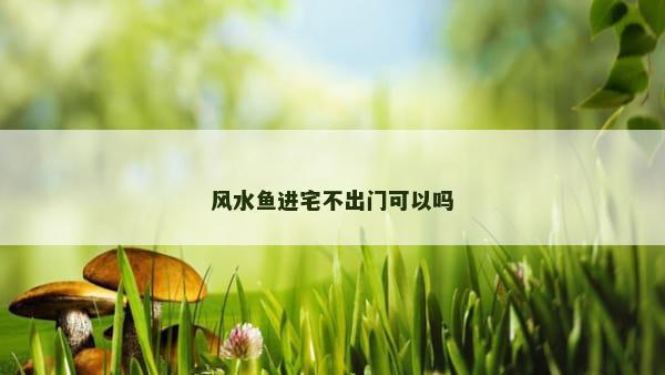 风水鱼进宅不出门可以吗