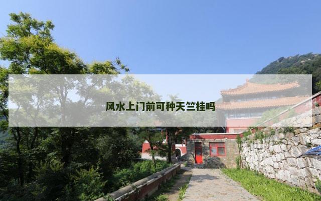 风水上门前可种天竺桂吗