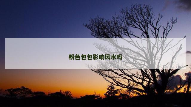 粉色包包影响风水吗