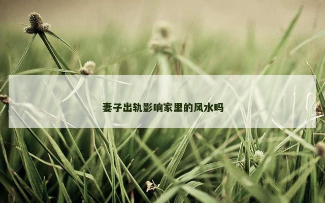 妻子出轨影响家里的风水吗