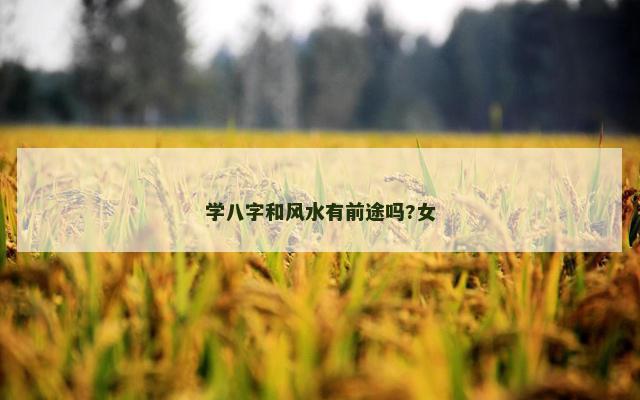 学八字和风水有前途吗?女