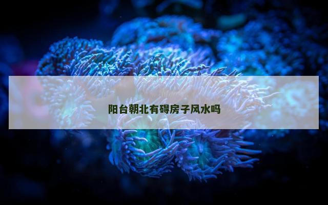 阳台朝北有碍房子风水吗