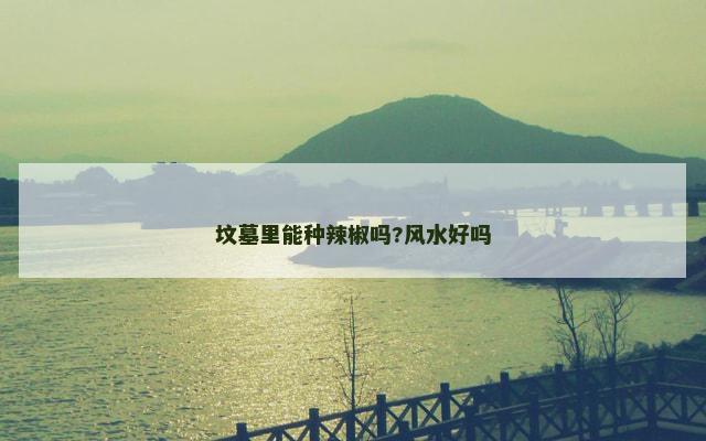 坟墓里能种辣椒吗?风水好吗