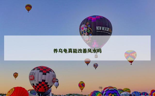 养乌龟真能改善风水吗