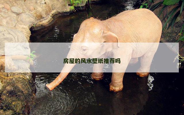 房屋的风水壁纸推荐吗