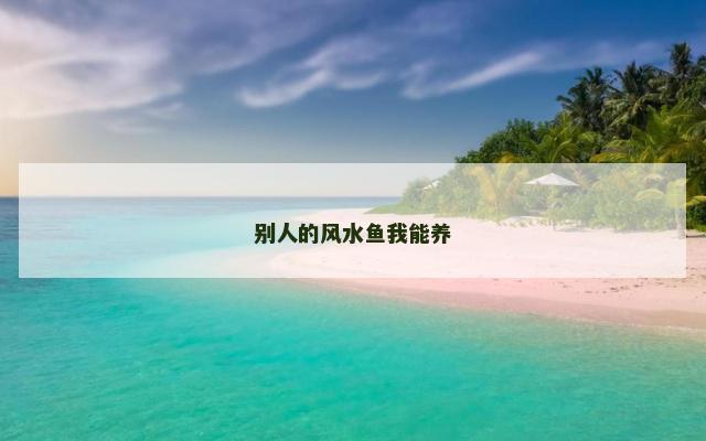 别人的风水鱼我能养