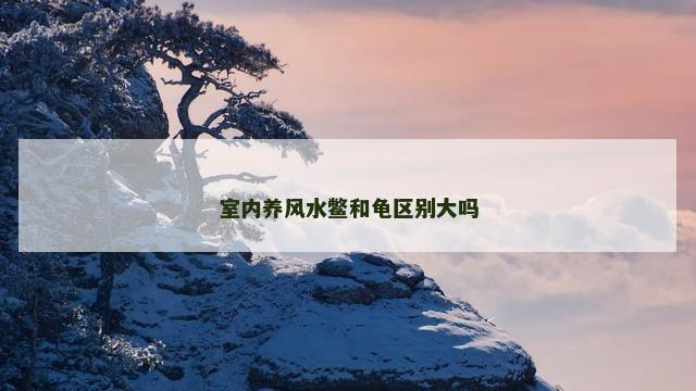 室内养风水鳖和龟区别大吗