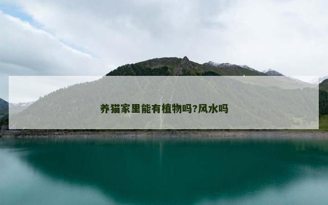 养猫家里能有植物吗?风水吗